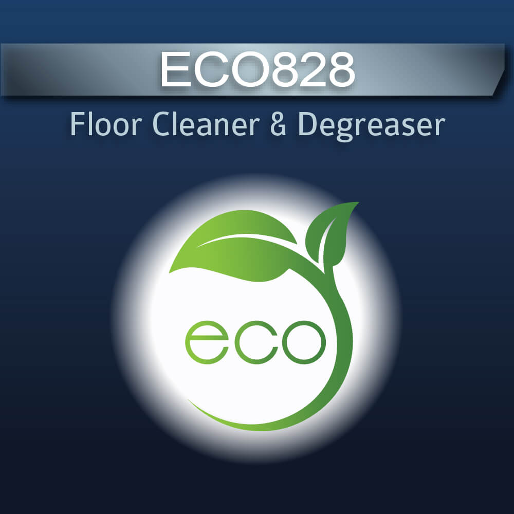 ECO 828